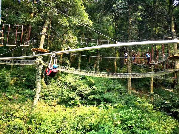 叢林軌道滑索 叢林軌道滑索
