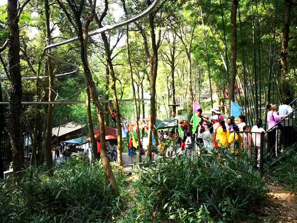 叢林軌道滑索 叢林軌道滑索