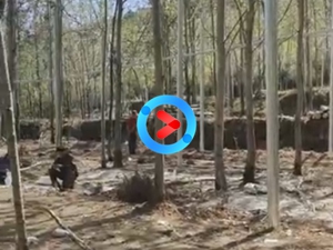 軌道滑索 軌道滑索