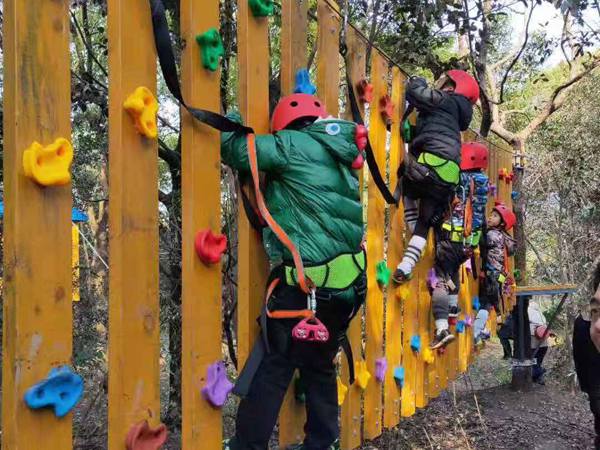 叢林穿越游樂項(xiàng)目 叢林穿越游樂項(xiàng)目
